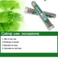 Catnip Leaves for Cats – Natural Herbal Treat 🌿🐱