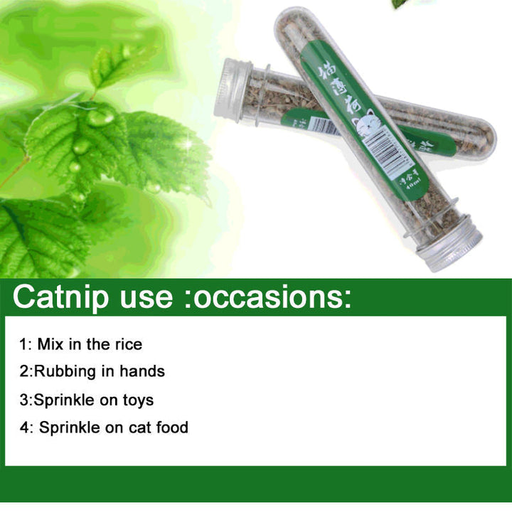 Catnip Leaves for Cats – Natural Herbal Treat 🌿🐱