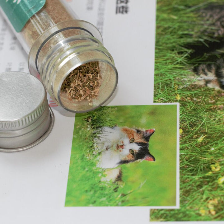 Catnip Leaves for Cats – Natural Herbal Treat 🌿🐱