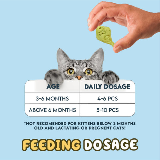 Cookey’s Cat Dental Treats with Catnip – 80g for Healthy Teeth & Fresh Breath 😺