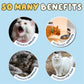 Cookey’s Cat Dental Treats with Catnip – 80g for Healthy Teeth & Fresh Breath 😺