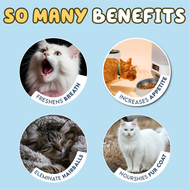 Cookey’s Cat Dental Treats with Catnip – 80g for Healthy Teeth & Fresh Breath 😺