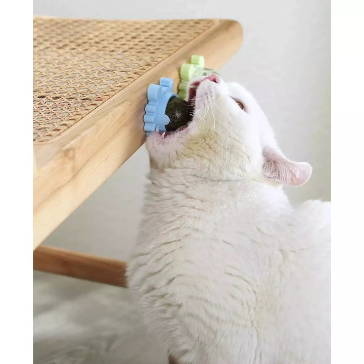 Discount Catnip Lollipop Bundle for Cats – Fun Chew Treat 🍭🐱