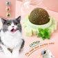 Discount Catnip Lollipop Bundle for Cats – Fun Chew Treat 🍭🐱