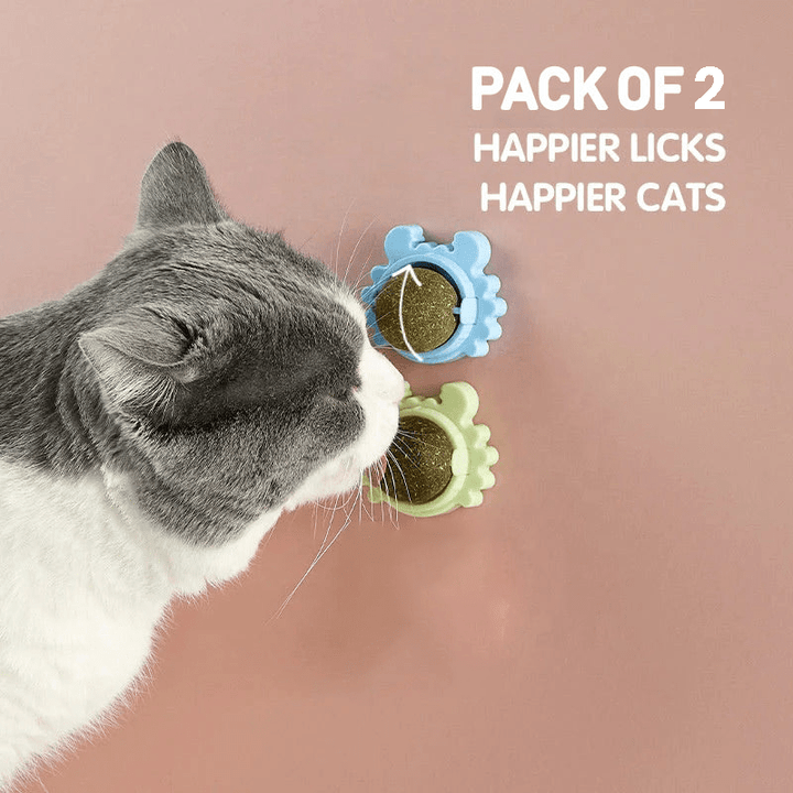 Discount Catnip Lollipop Bundle for Cats – Fun Chew Treat 🍭🐱