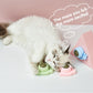 Discount Catnip Lollipop Bundle for Cats – Fun Chew Treat 🍭🐱