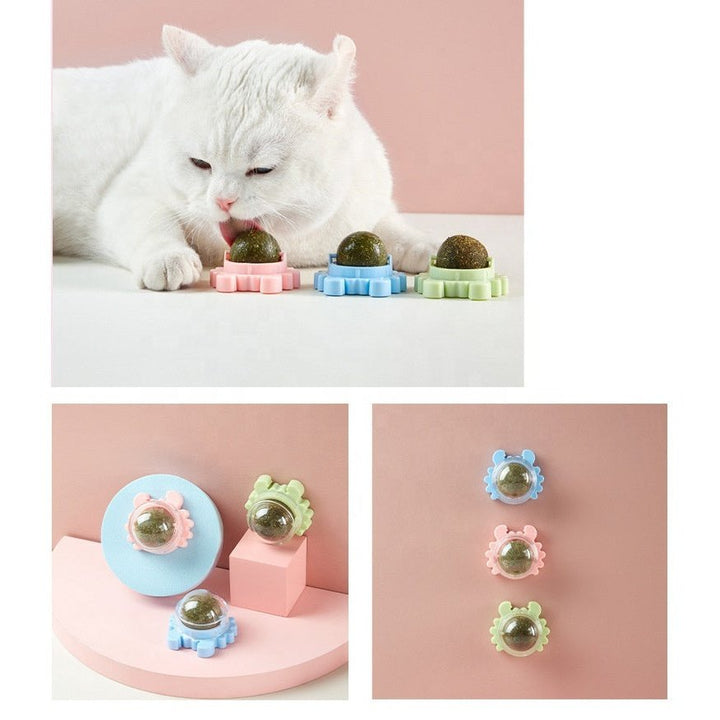Discount Catnip Lollipop Bundle for Cats – Fun Chew Treat 🍭🐱