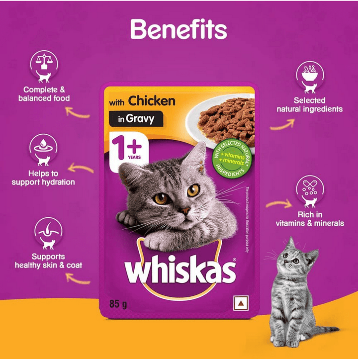 🐾 Whiskas Jelly Cat Food – 1 x 85g Pouch 🍖