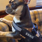 K9 No Pull Adjustable Harness For Dogs – Imported 🐶