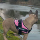 K9 No Pull Adjustable Harness For Dogs – Imported 🐶