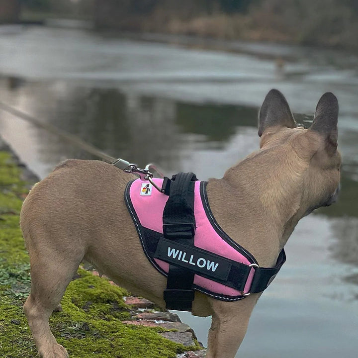 K9 No Pull Adjustable Harness For Dogs – Imported 🐶