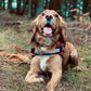 K9 No Pull Adjustable Harness For Dogs – Imported 🐶