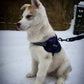 K9 No Pull Adjustable Harness For Dogs – Imported 🐶