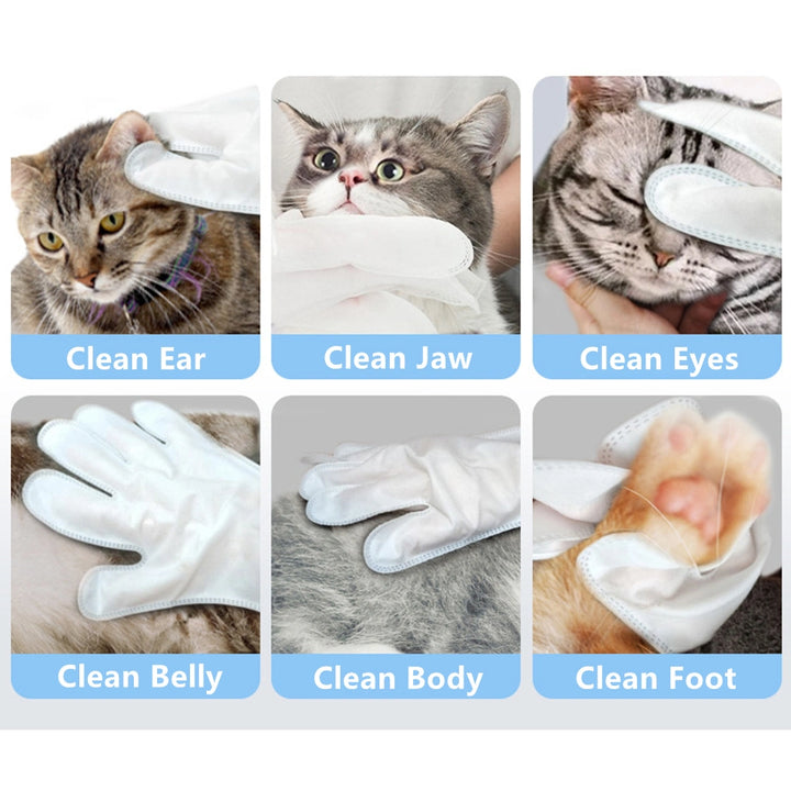 No-Rinse Spa Cleaning Gloves for Pets