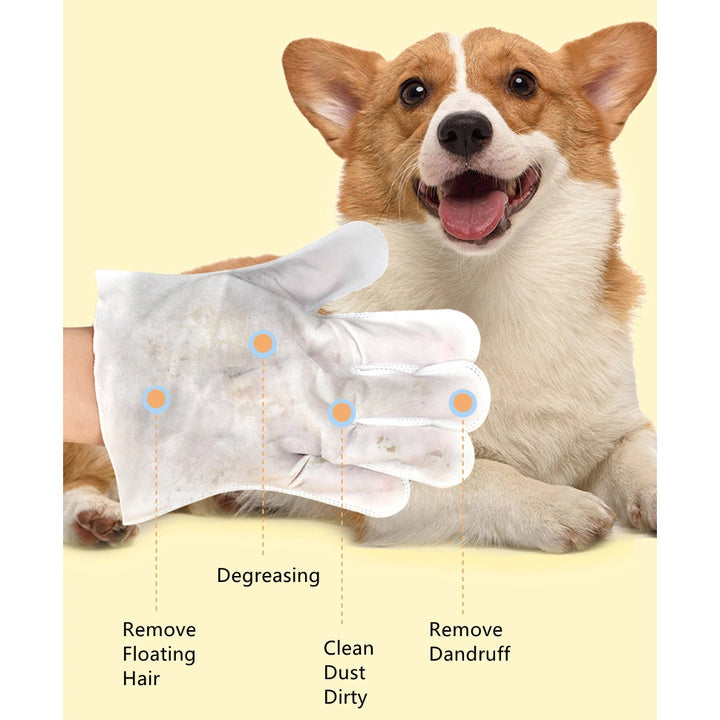 No-Rinse Spa Cleaning Gloves for Pets