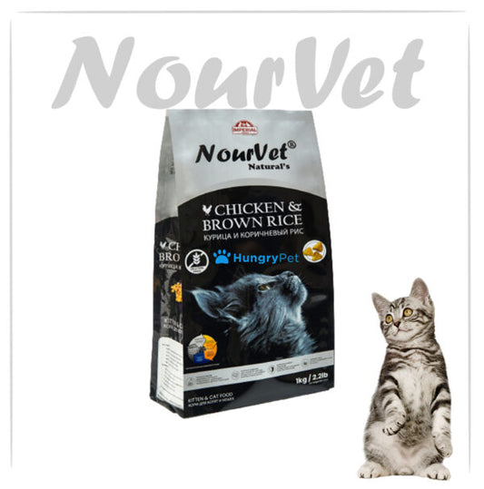 Nourvet Natural (Chicken) Kitten & Cat Food 🐾