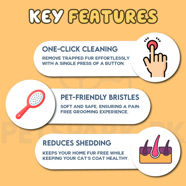 PumpKin Pie Self-Cleaning Brush 🐾