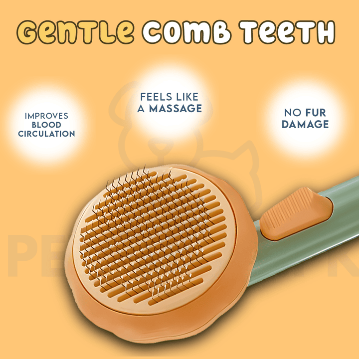 PumpKin Pie Self-Cleaning Brush 🐾