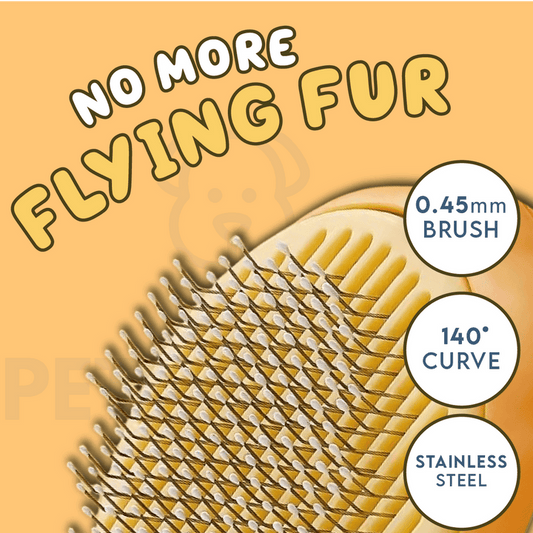 PumpKin Pie Self-Cleaning Brush 🐾