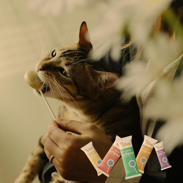 Ranova Freeze Dried Cat Lollipops 🍭