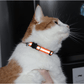 Reflective Cat Collar with Bell Adjustable For Cats🏷️