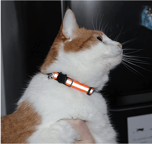 Reflective Cat Collar with Bell Adjustable For Cats🏷️