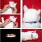 Reflective Cat Collar with Bell Adjustable For Cats🏷️
