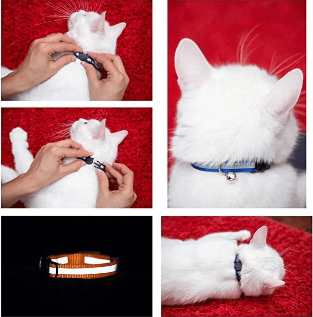 Reflective Cat Collar with Bell Adjustable For Cats🏷️