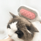 Sticky Brush for Cats & Dogs Hair Removal Kit 🐾