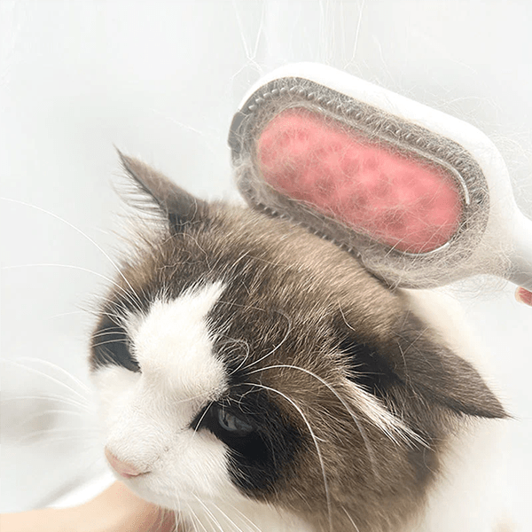 Sticky Brush for Cats & Dogs Hair Removal Kit 🐾
