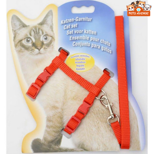 Cat Harness & Leash for Outdoor Cat Walk 🐾