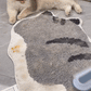 Jumbo Pet Hair Remover for Clothes and Bed Sheets 🧺