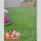 Interactive Self-Balancing Toy for Cats